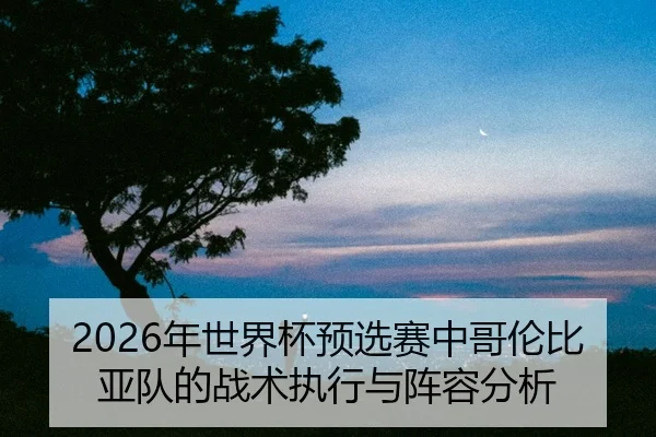 nian-shi-jie-bei-yu-xuan-sai-zhong-ge-lun-bi-ya-dui-de-zhan-shu-zhi-xing-yu-zhen-rong-fen-xi-2-663.jpg