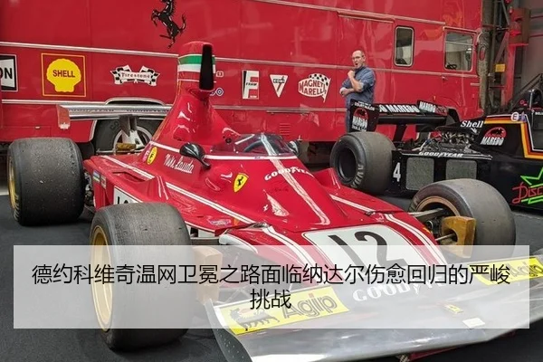 de-yue-ke-wei-qi-wen-wang-wei-mian-zhi-lu-mian-lin-na-da-er-shang-yu-hui-gui-de-yan-jun-tiao-zhan-2-506.jpg